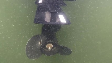 Avoiding Propeller Injuries: Conclusion