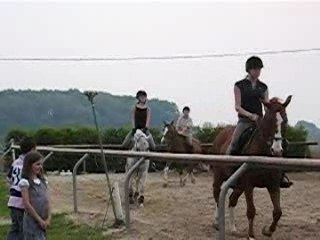 Le beau Dare Dare, sa Didi, et compagnie