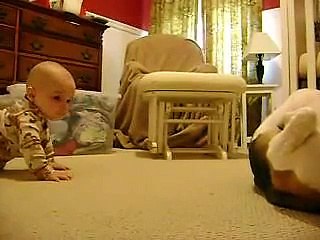 Beagle Meets the Baby