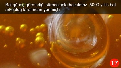 Gerçek Olduğuna İnanamayacağınız 20 İlginç Bilgi