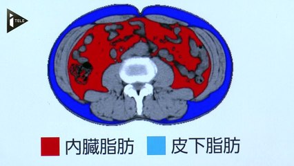 Au Japon, la santé sur Smartphones