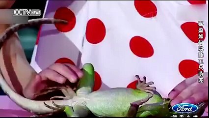 what a magic must watch