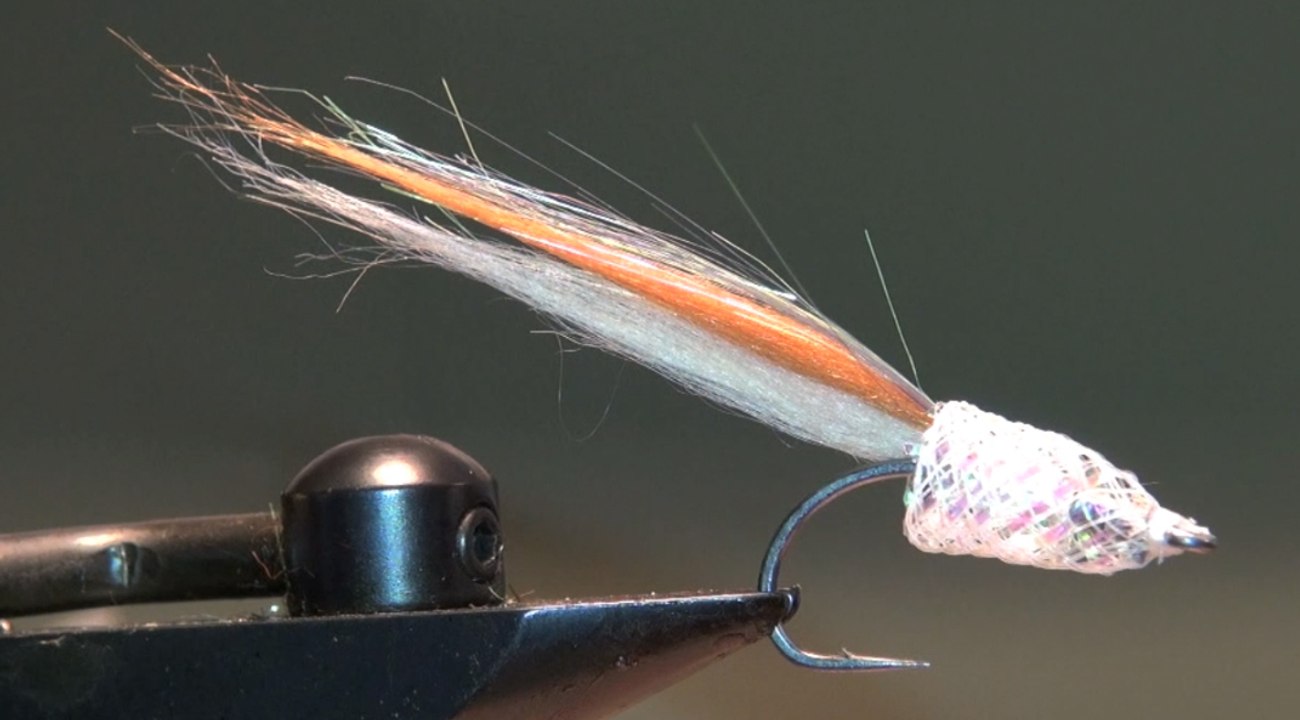 2-Minute Anchovy Fly