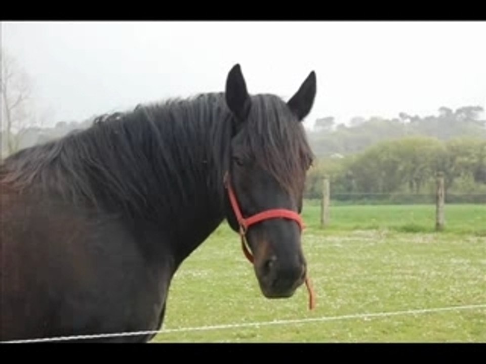 Aprem avec Erzie 28 avril 2007