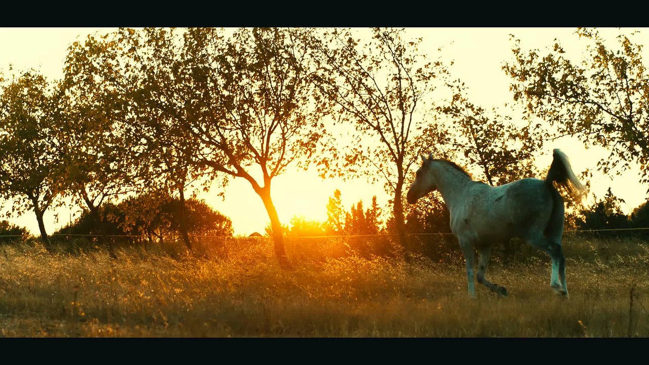 Ziynet Sali - Senin Olsun (VIDEO-KLIP)