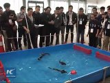 Robot fish, footballers shown at RoboCup Tournament in SW China