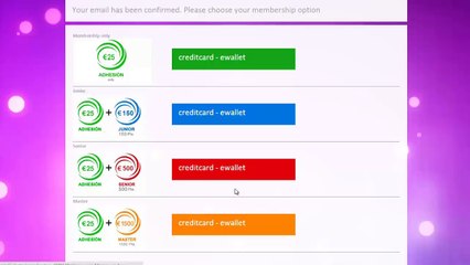Как оплатить нового партнера Univerteam с 2pay4you - Оплата пакета Univerteam