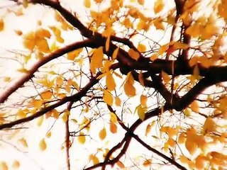 Ne fayda Kadir Oğul (Yeni Şiir)