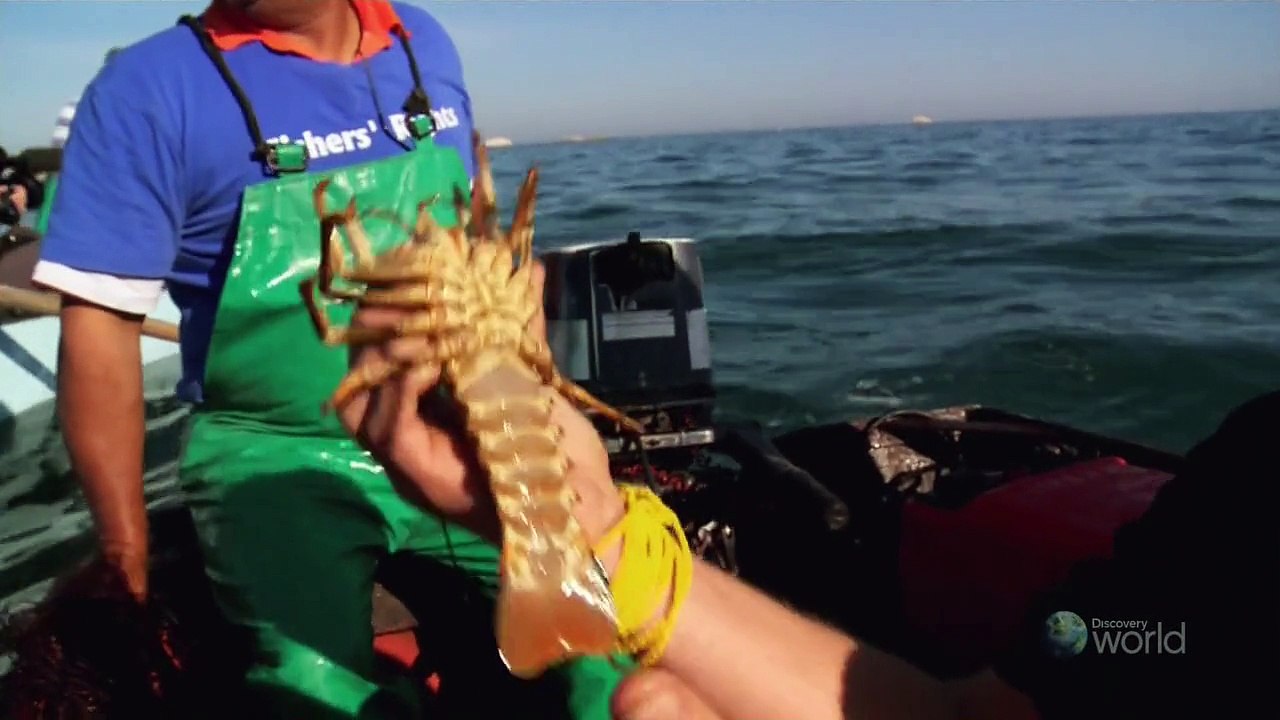 Cooked In Africa Season 5 11of13 Cape Columbine 720p