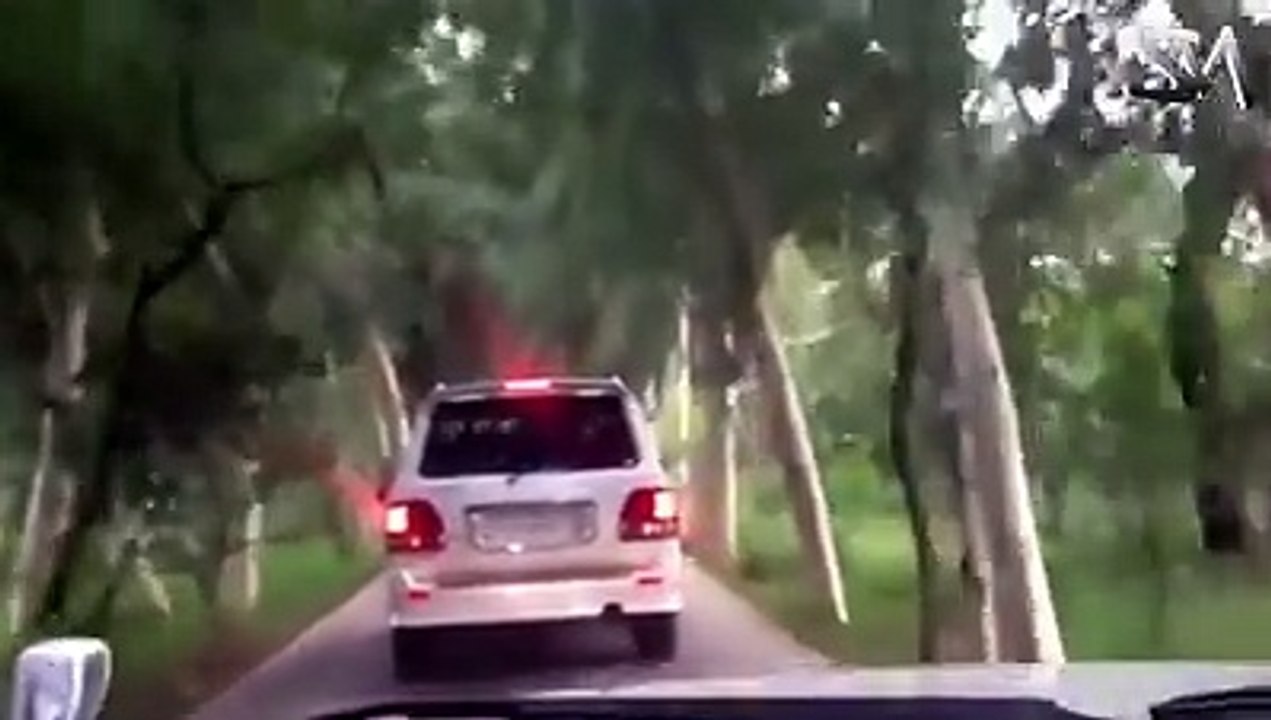 رائیونڈ کے بادشاہ نواز شریف کے عالیشان محل کے اندرونی مناظر
