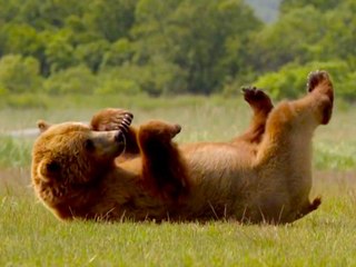 23 Interesting Alaska Facts