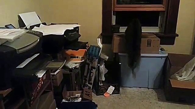 Еще один кот против принтера