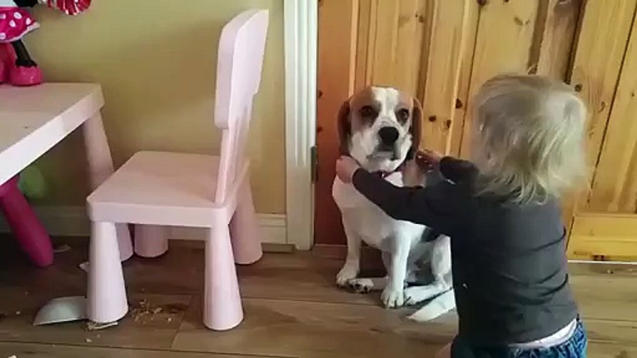 Cette chienne a cassé son bol de céréale... La réaction de cet enfant est trop touchante.