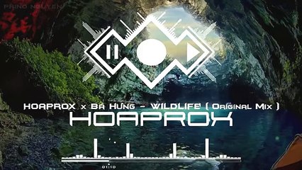 Hoaprox x Bá Hưng - WILDLIFE (Original mix) - ( Official Audio)