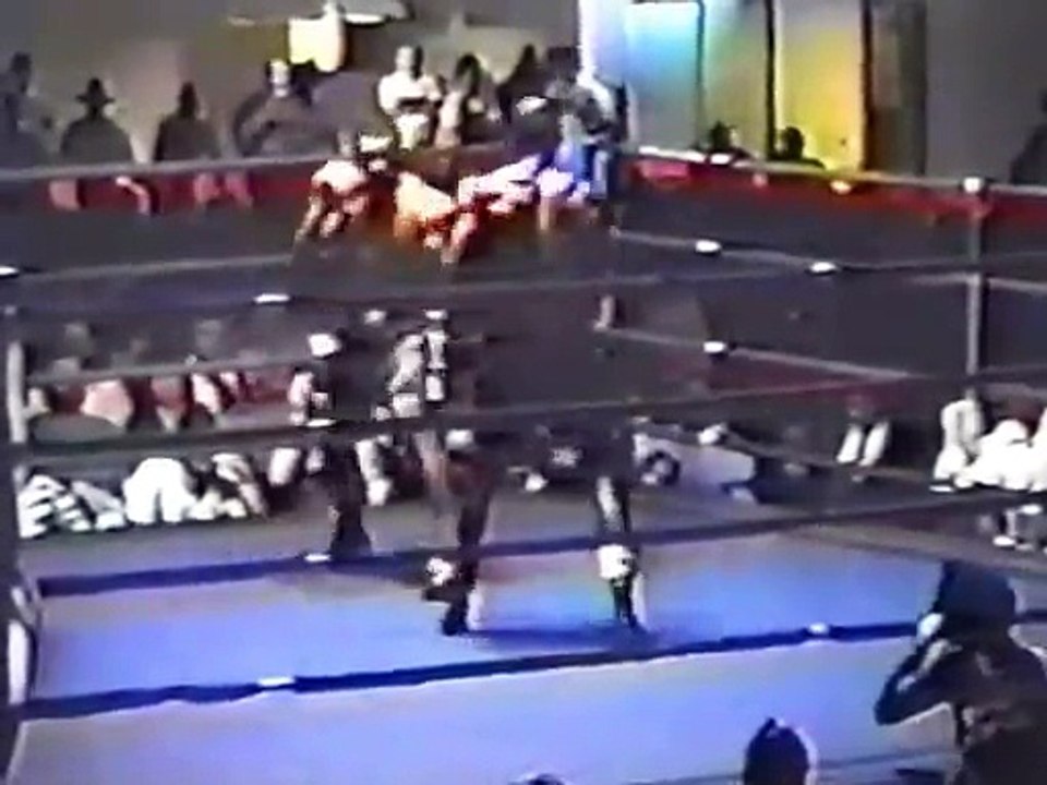 Roy Jones Jr. vs Rollin Williams (25/09/1990)