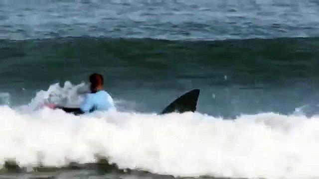 KFC South Africa parody Mick Fanning shark attack in new commercial