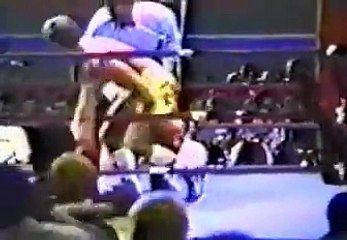 Roy Jones Jr. vs Kevin Daigle (03/08/1991)