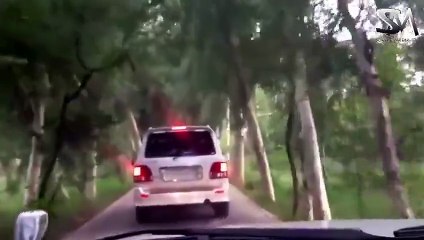 رائیونڈ کے بادشاہ نواز شریف کے عالیشان محل کے اندرونی مناظر