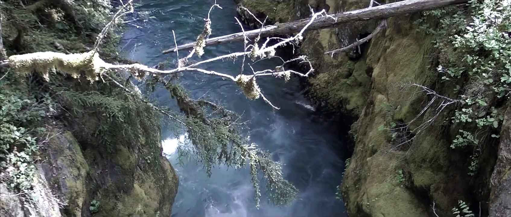 Nature Discovery Documentary Amazing Life Nature Documentaries HD 2014