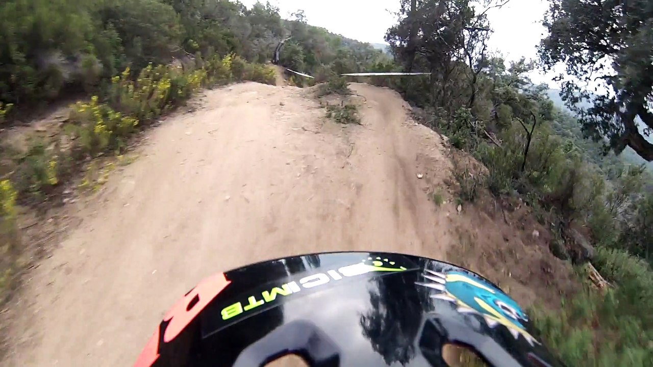 Pineda tc2