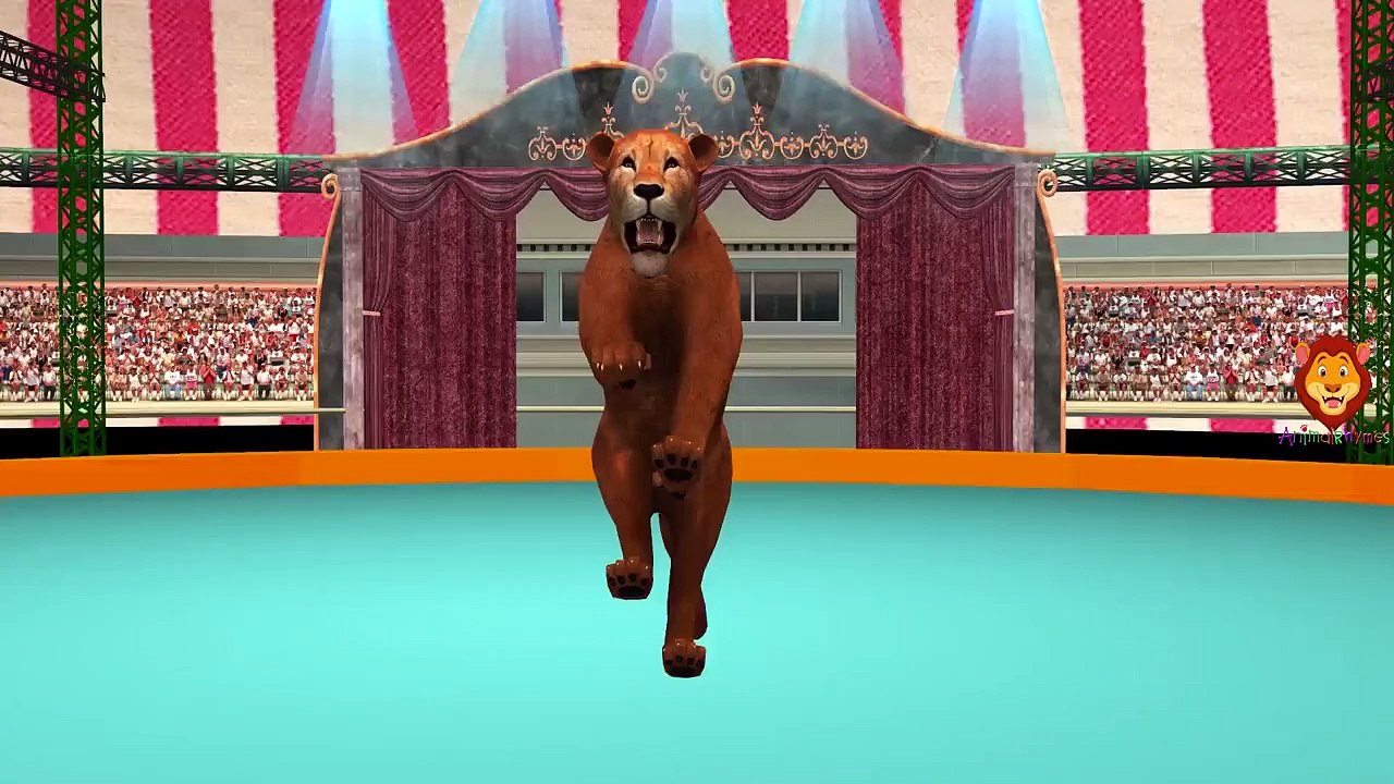 Lion Finger Family Rhymes For Babies | Animals Finger Family | Nursery Rhymes