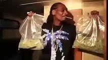 How Many Ounces Of Weed Has Snoop Dogg Smoked In His Life?