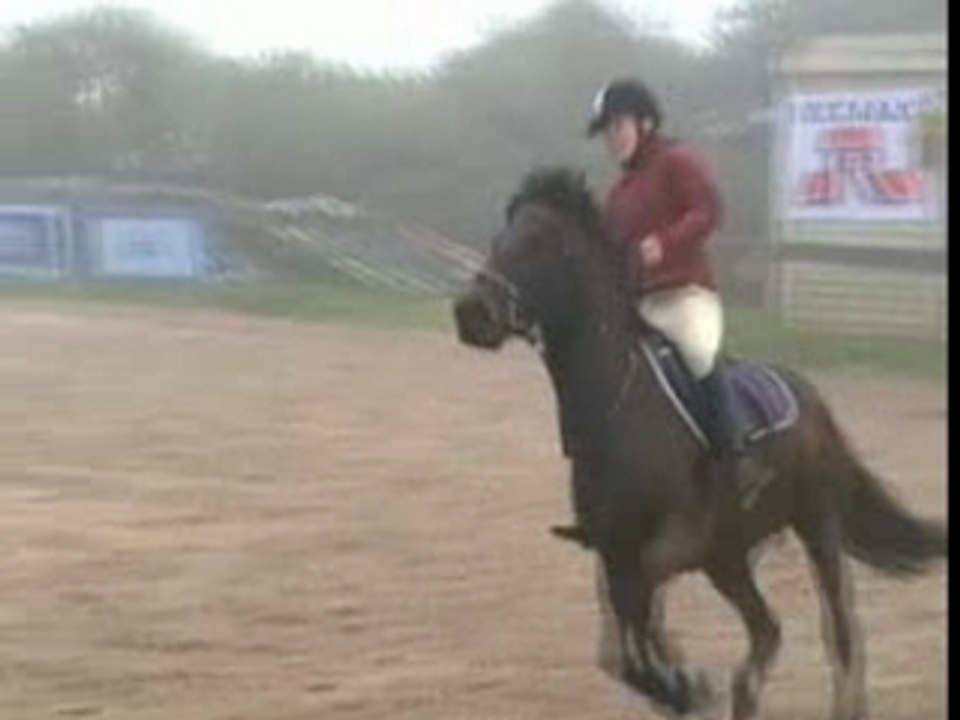 Lulu-ifor