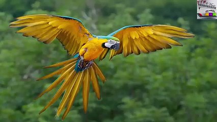 3 - ♪ ♫ ♩ ♬ Relaxing Music - Sleep Music - Study Music - Spa - Soothing Music - instrumental Music