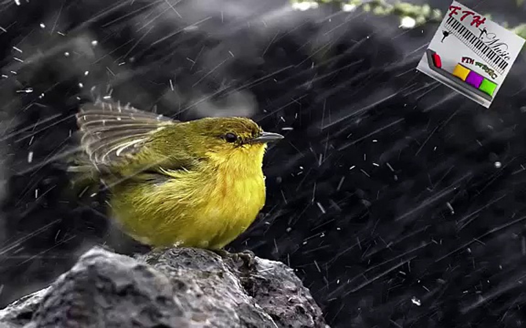 ⁣2 - ♪ ♫ ♩ ♬ Relaxing Music - Sleep Music - Study Music - Spa - Soothing Music - instrumental Music