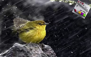 2 - ♪ ♫ ♩ ♬ Relaxing Music - Sleep Music - Study Music - Spa - Soothing Music - instrumental Music