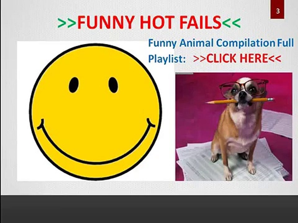 Oie et de canard chiens. Drôle d'oie, le canard et le chien