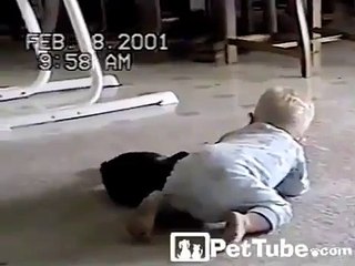 Кошка и ребенок играют