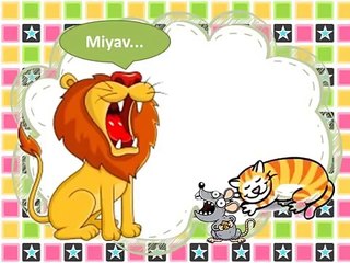 WWW IZLEVIDEO NET Bir Aslan Miyav Dedi