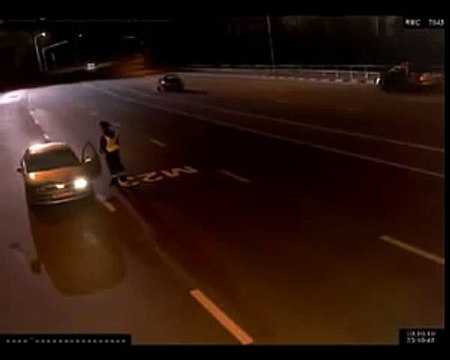 Policía y lobos. Lobos divertidos tráfico asustada inspector de policía