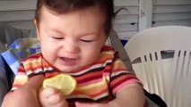 Babies Eating Lemons for the First Time Compilation 2015 NEW‬