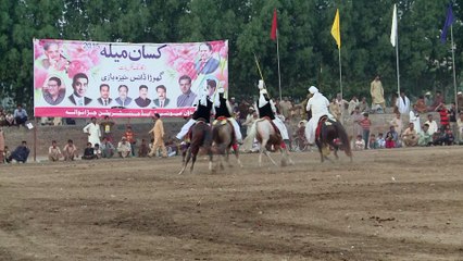 Syed Awais Wasti