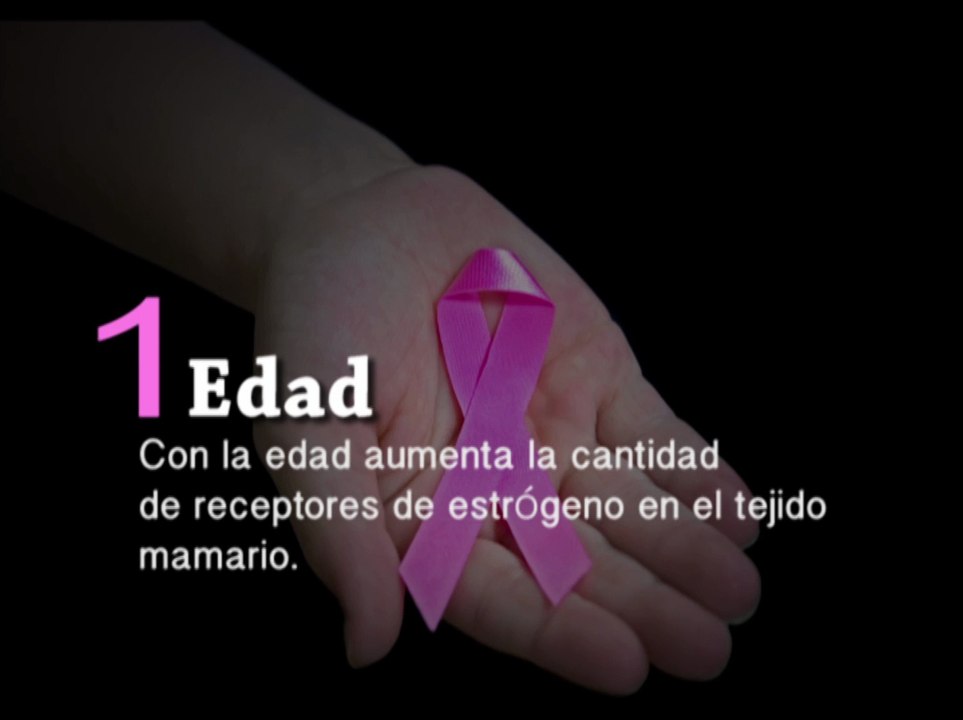 Mi guerrera rosa