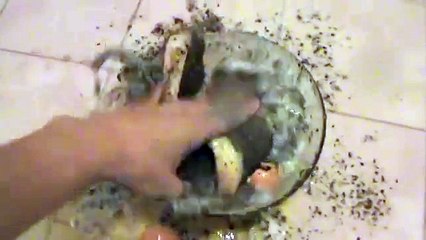 How To Make Beef Jerky