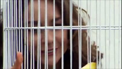 ESCENAS DE ELADIO CAP 1