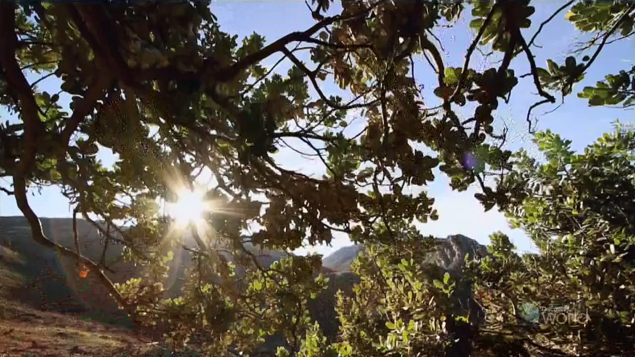 Cooked In Africa Season 5 12of13 Franschhoek Valley 720p