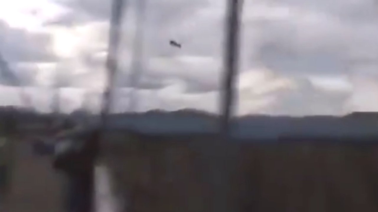 ウイングスーツジャンプ 滑空に失敗し死亡 橋に激突 ムササビスーツ