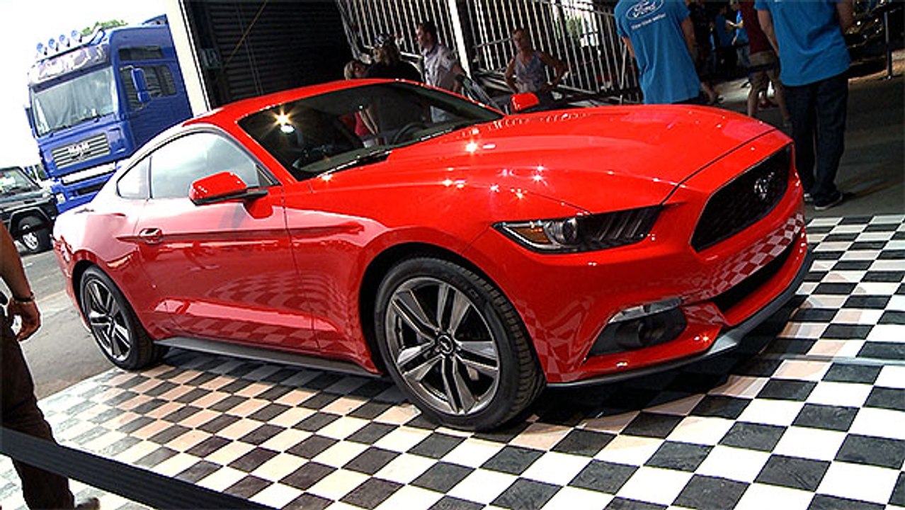 Ford Mustang - Treffen 2014