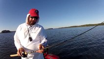Top 10 Fall Bass Fishing Lures by 1Rod1ReelFishing