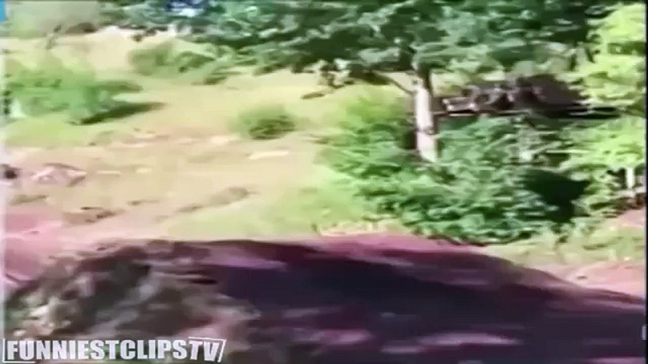 Best 20 RKO vines compilation RKO Outta Nowhere | Randy Orton RKO Outta Nowhere | new |