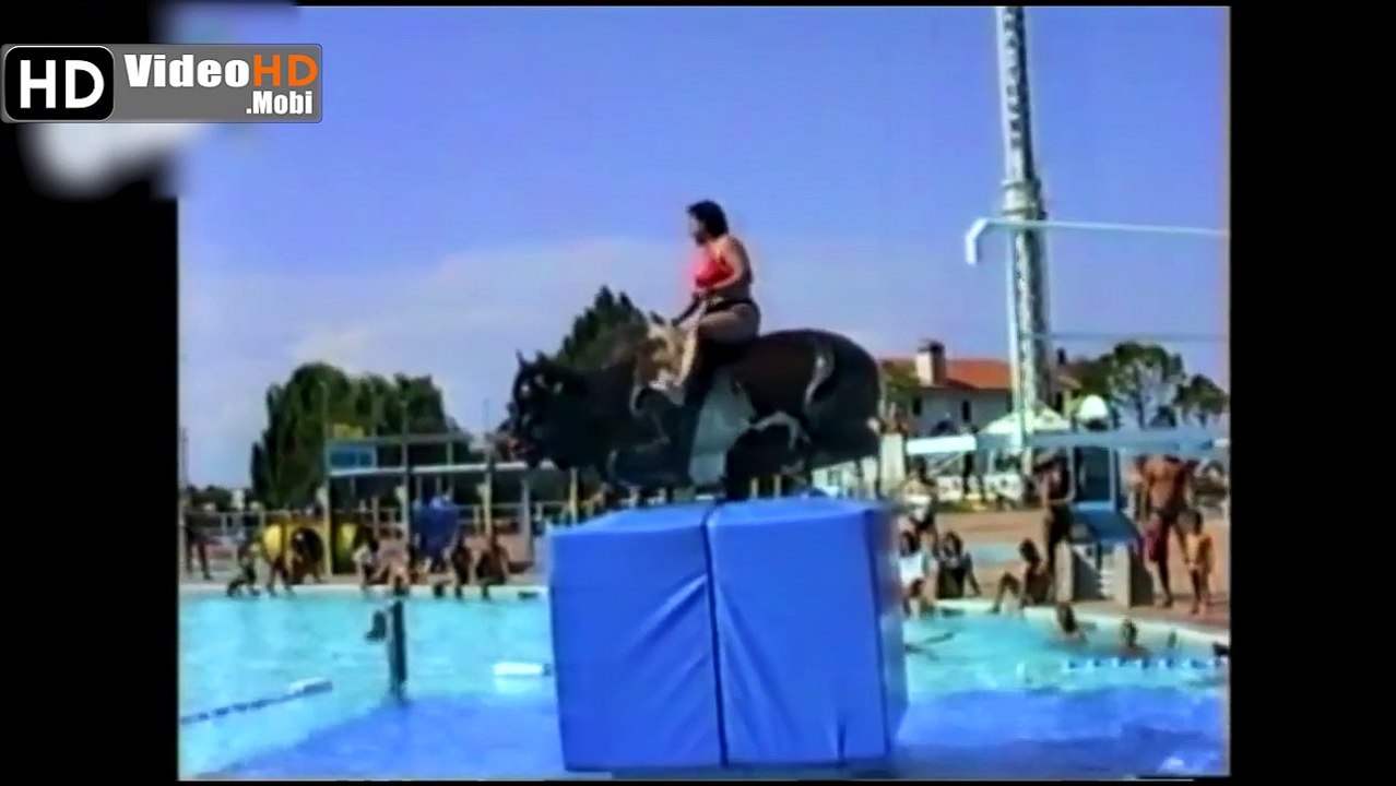 Funny Videos Fail Compilation 2014 Best Funny Fail Videos & New Funny Home Videos 2014