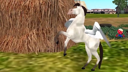 Finger Family Rhymes for Children Flying Horse Pegasus Cartoons | Finger Family Nursery Rh