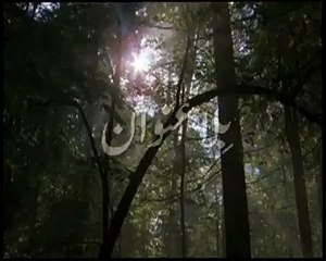 Poem by Baba Bulleh Shah! Listen & Think!