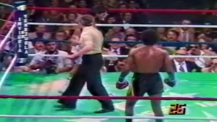 WHEN BOXERS LOSE CONTROL Part 4