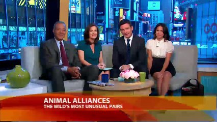 Unlikely Animal Pairs Defy Laws of Nature