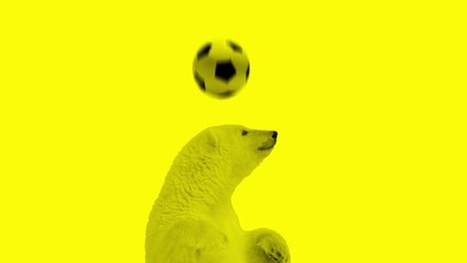Campagne France Info : "Le Groënland organisera la prochaine Coupe du Monde"